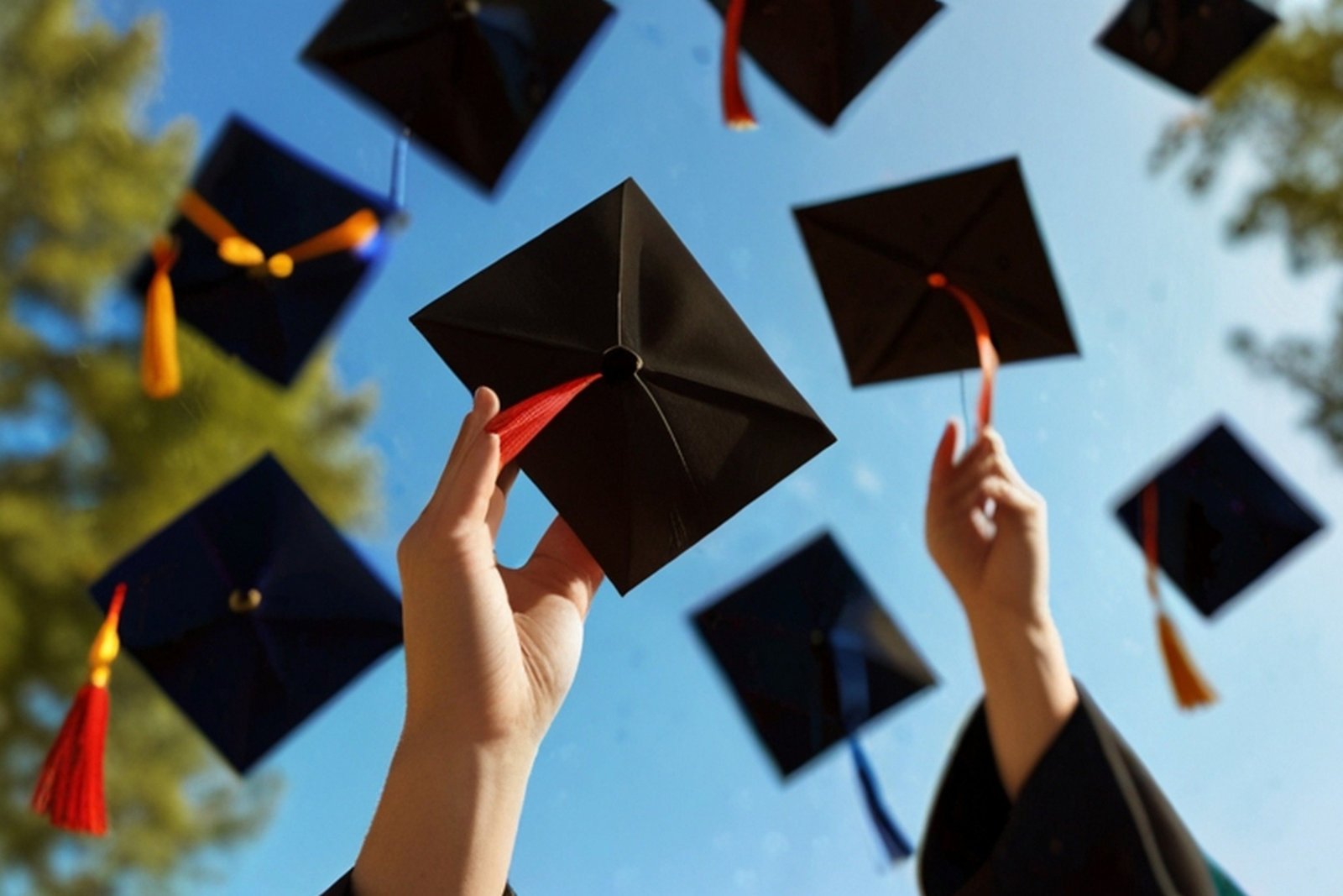 B.Voc Degree Program Main Image